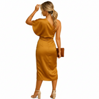 Women’s contemporary elegant dress with simple silhouette